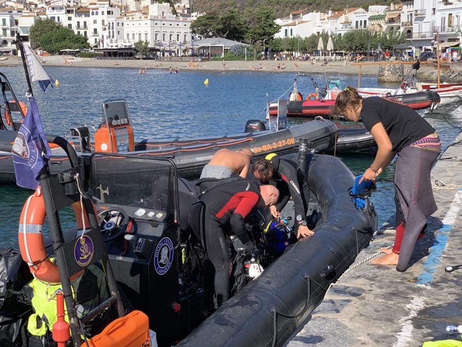 Dive boats in a tropical harbor