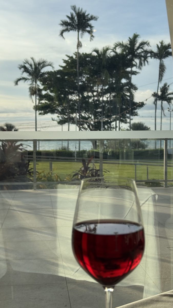 Red wine glass beside a balcony view of palms and beach